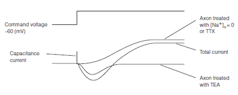 623_Voltage clamping.png